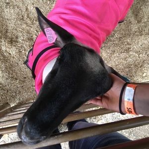 Meet your Posher, Kara